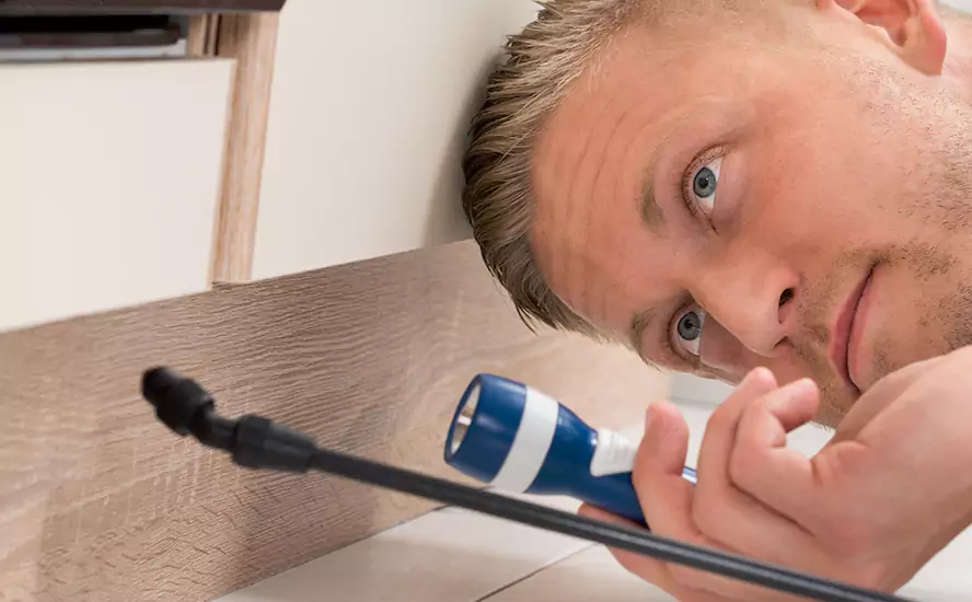 Top-Notch Pest Control in Flower Mound