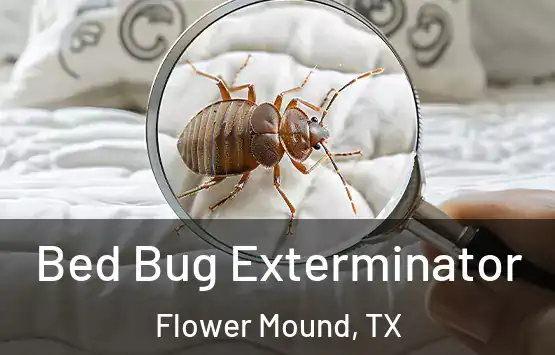 Bed Bug Exterminator Flower Mound, TX