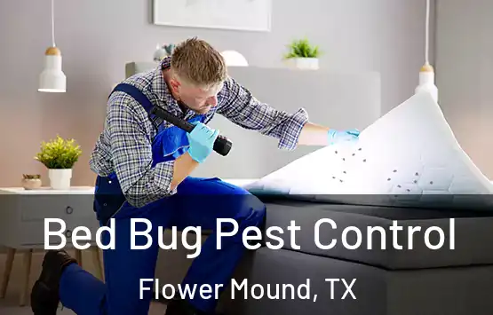  Bed Bug Pest Control Flower Mound, TX