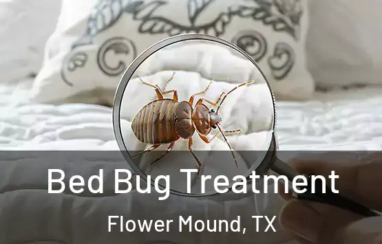  Bed Bug Treatment Flower Mound, TX