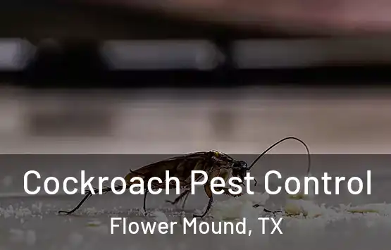  Cockroach Pest Control Flower Mound, TX