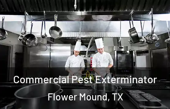  Commercial Pest Exterminator Flower Mound, TX