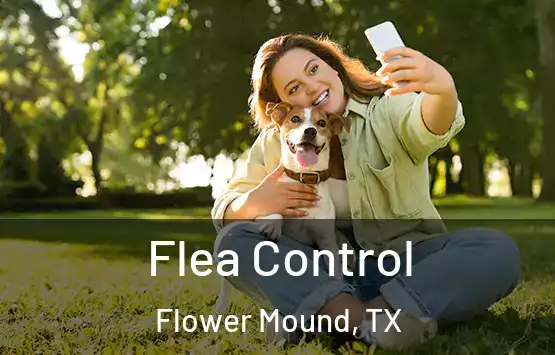  Flea Control Flower Mound, TX