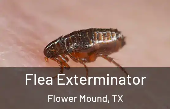  Flea Exterminator Flower Mound, TX