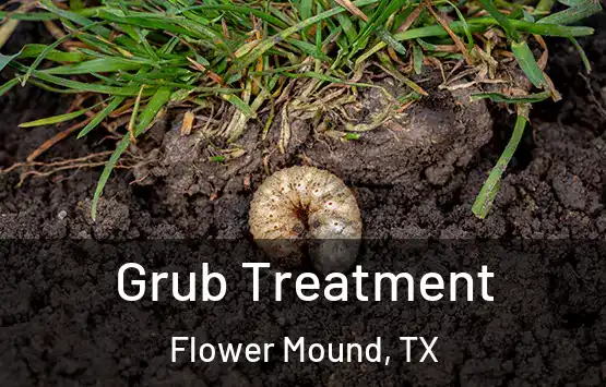  Grub Treatment Flower Mound, TX