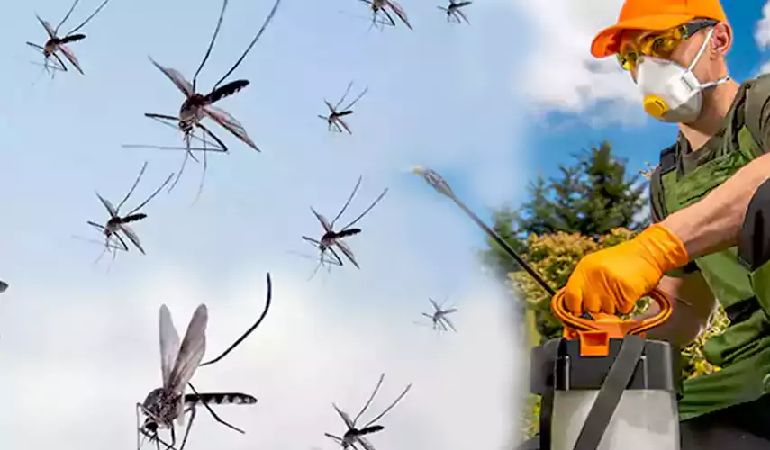 Mosquito Pest Control in Flower Mound, TX