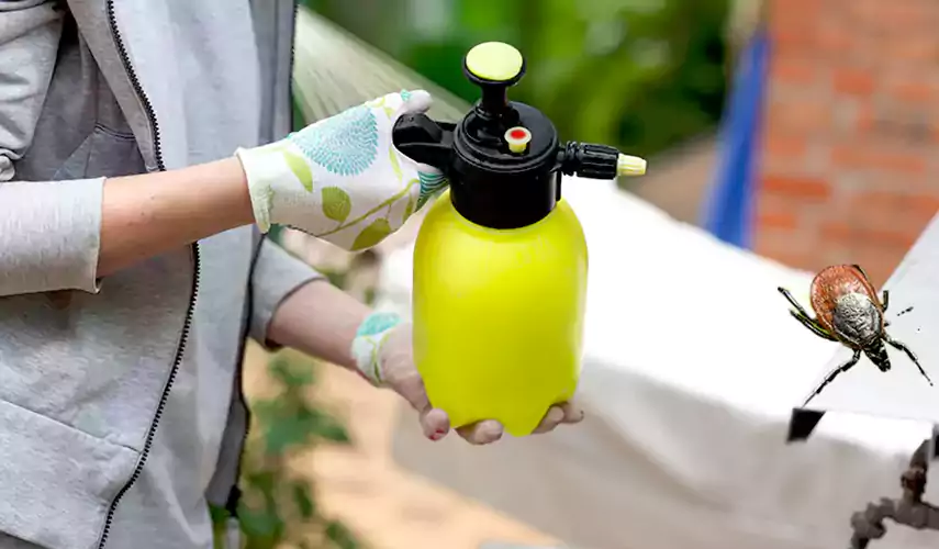 Ticks Pest Control Flower Mound, Texas