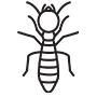 Termites Pest Control Flower Mound, Texas