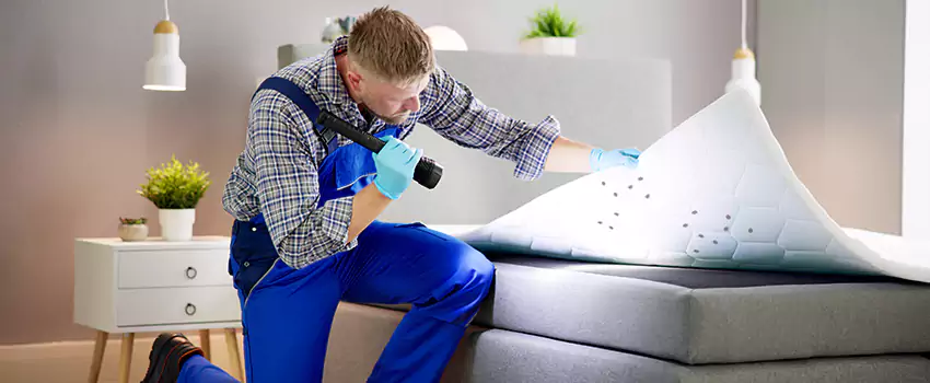 bed-bug-treatment in Flower Mound, TX