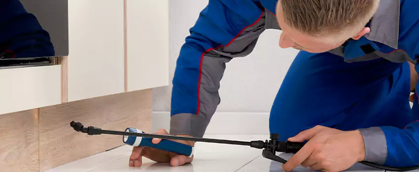 Ant Control for Bedrooms in Flower Mound, TX