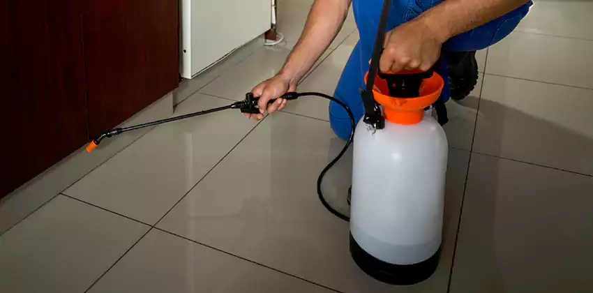 Commercial Pest Extermination for Offices in Flower Mound, TX