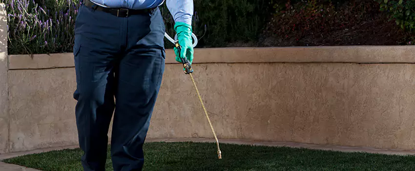 Emergency Pest Extermination for Children and Pets Flower Mound, TX