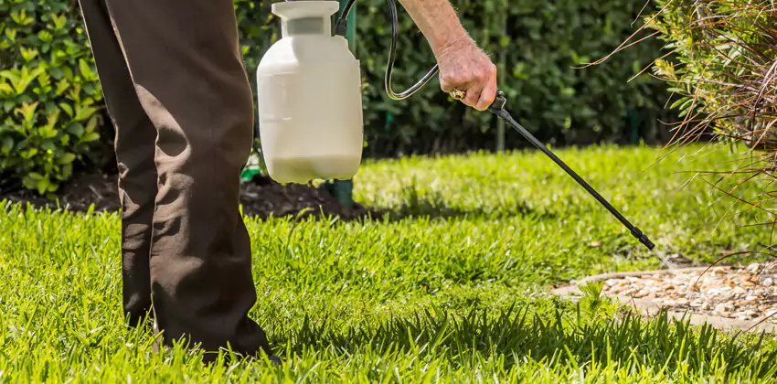 Grub Treatment for Bedrooms Flower Mound, TX