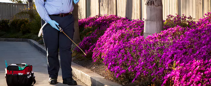 Pest Extermination for Bedrooms in Flower Mound, TX