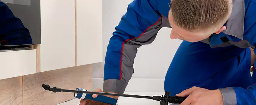 Termite Control for Children and Pets in Flower Mound, TX