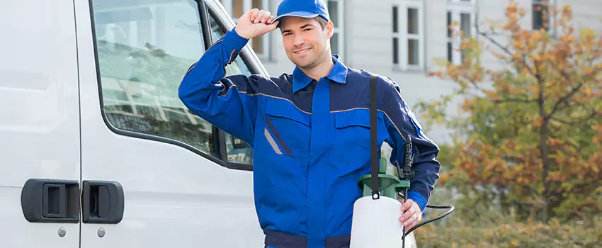 Whitefly Treatment for Bedrooms Flower Mound, TX