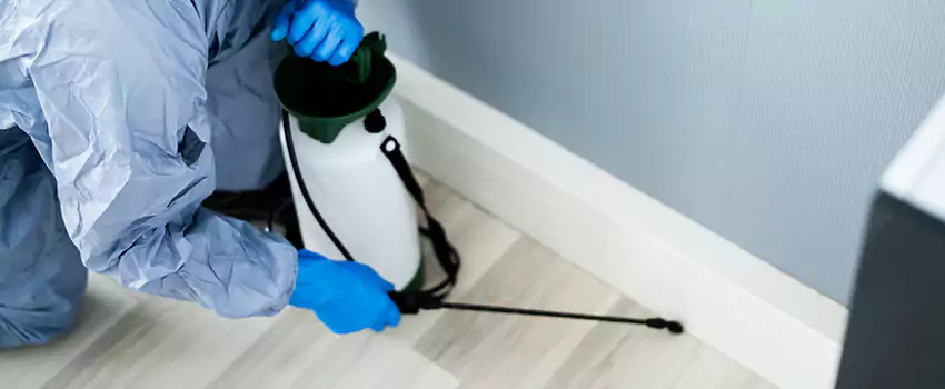 cockroach-exterminator in Flower Mound, TX