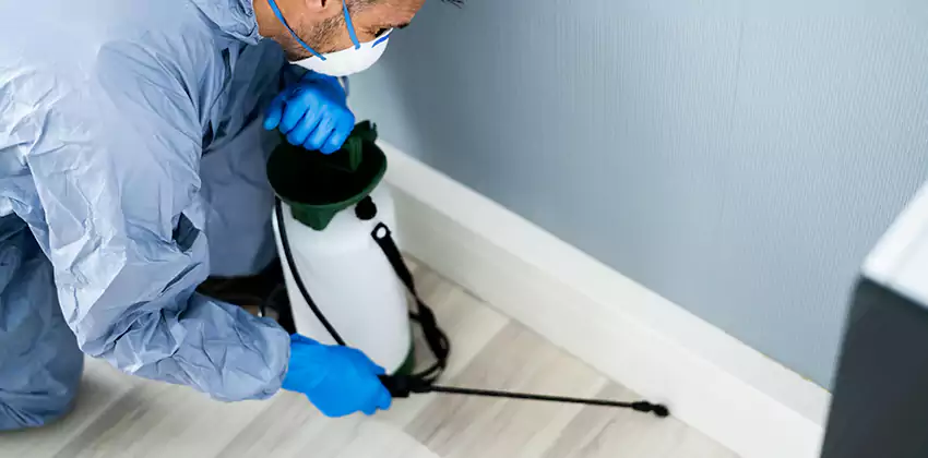 commercial-pest-exterminator in Flower Mound, TX