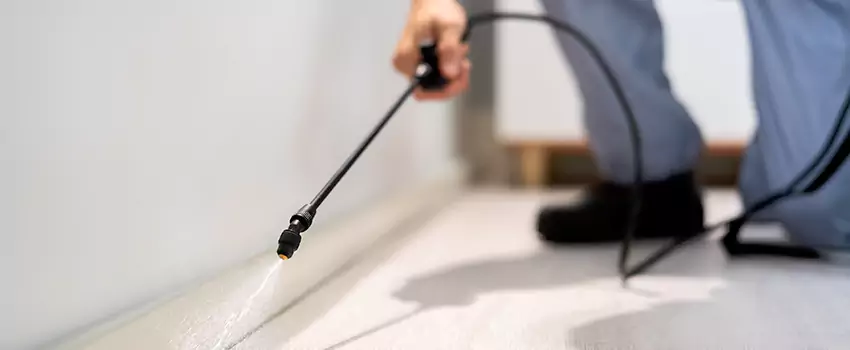 pest-exterminator in Flower Mound, TX