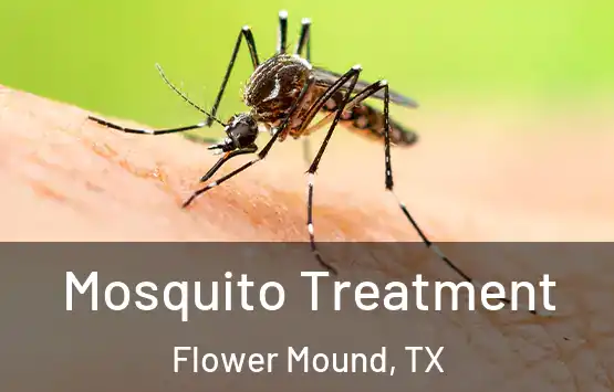  Mosquito Treatment Flower Mound, TX