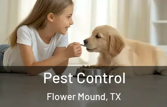 Pest Control Flower Mound, TX