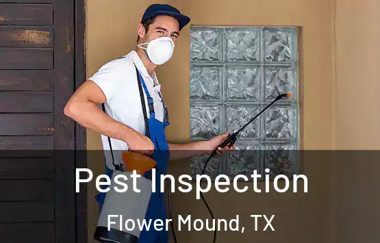  Pest Inspection Flower Mound, TX