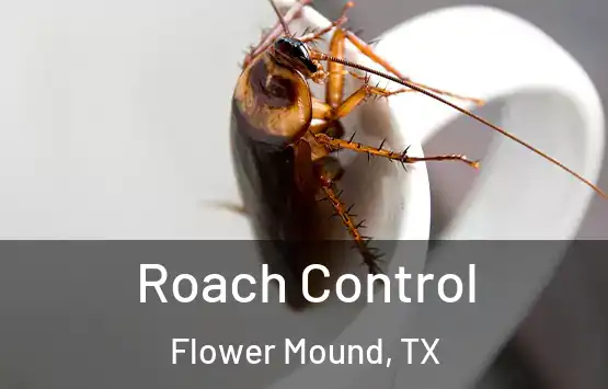  Roach Control Flower Mound, TX