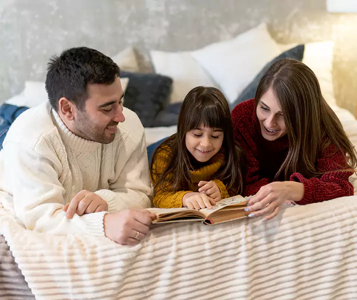 About Bed Bug Pest Control Flower Mound