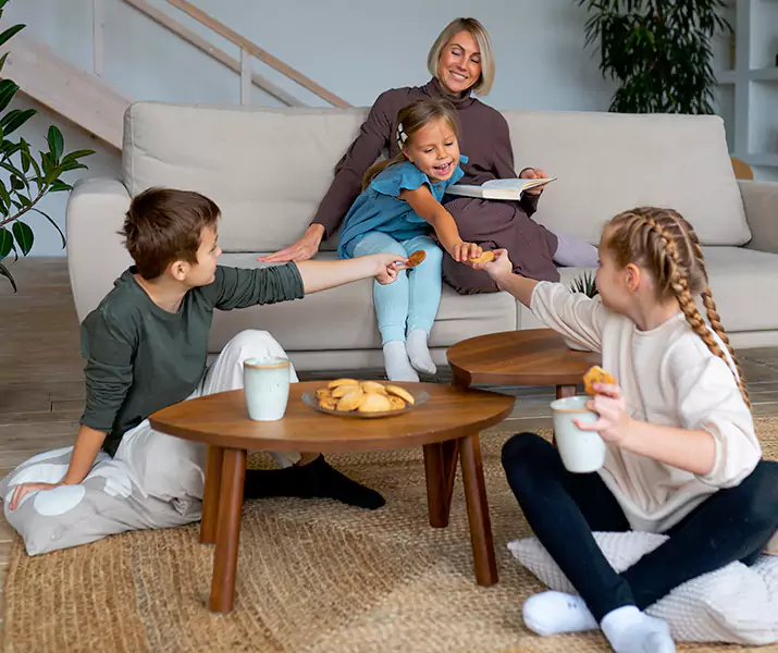 About Spider Exterminator Flower Mound