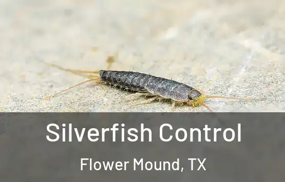  Silverfish Control Flower Mound, TX