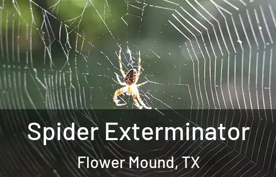  Spider Exterminator Flower Mound, TX