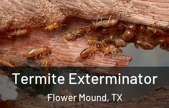  Termite Exterminator Flower Mound, TX