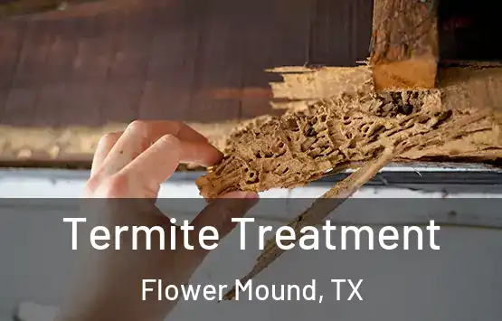  Termite Treatment Flower Mound, TX