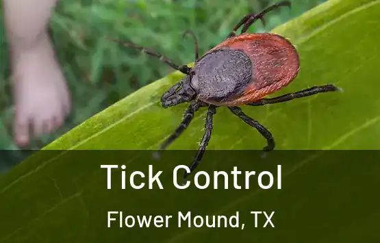  Tick Control Flower Mound, TX