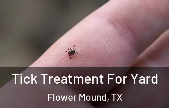  Tick Treatment For Yard Flower Mound, TX
