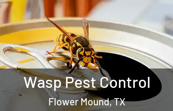  Wasp Pest Control Flower Mound, TX