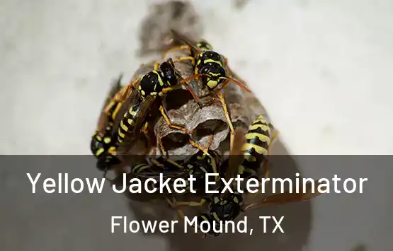  Yellow Jacket Exterminator Flower Mound, TX